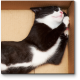 Модульная картина Кот в картонном домике