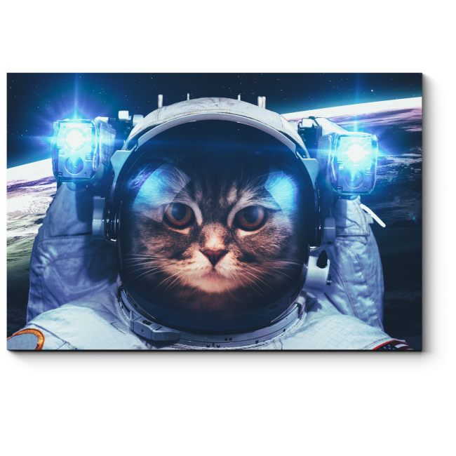 Модульная картина Кот-космонавт