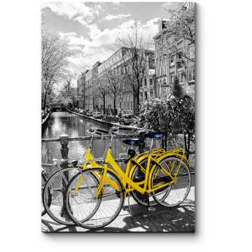 Модульная картина Любимый транспорт амстердамцев