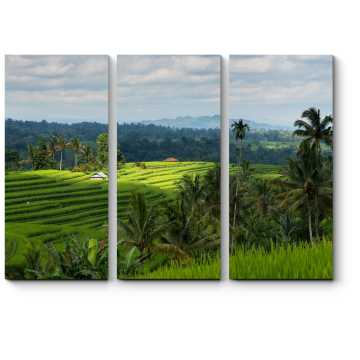 Модульная картина Бали, рисовые поля