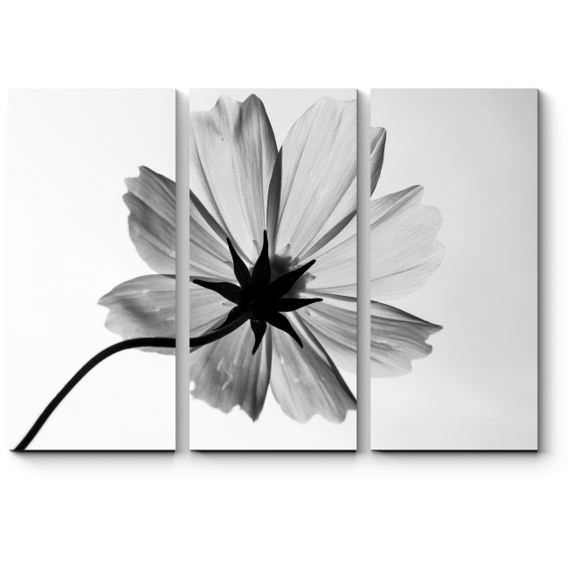 Модульная картина Монохромный цветок