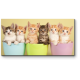 Модульная картина 6 милых котят