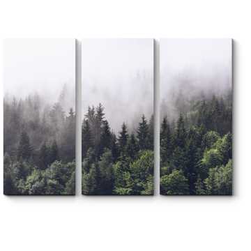 Модульная картина Лес в тумане