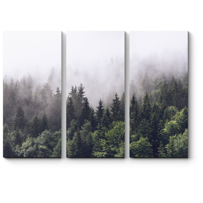 Модульная картина Лес в тумане