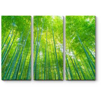 Модульная картина Бамбуковый лес 