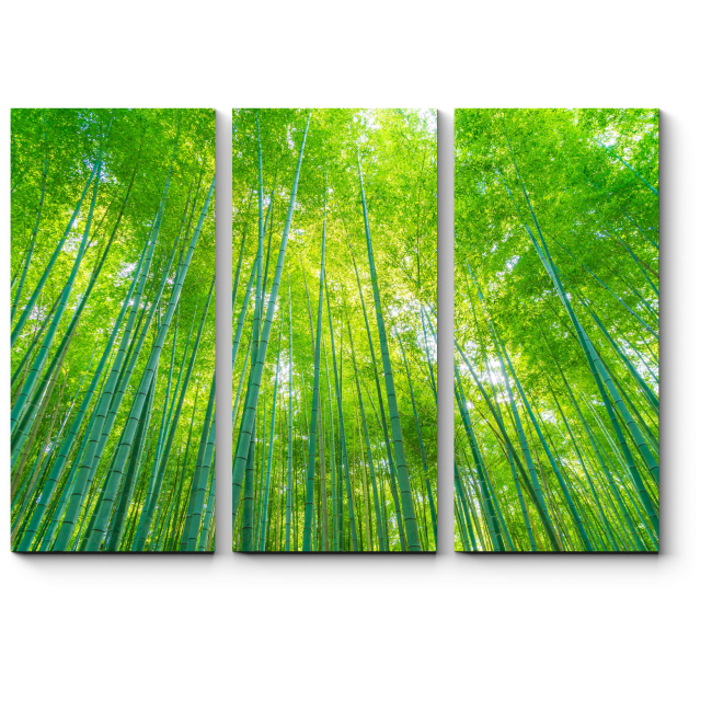 Модульная картина Бамбуковый лес 
