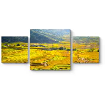 Модульная картина Рисовые поля у подножия гор Вьетнама