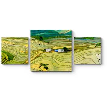 Модульная картина Рисовые поля в провинции Вьетнама