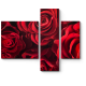 Модульная картина Бархатные розы