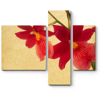 Модульная картина Красные орхидеи