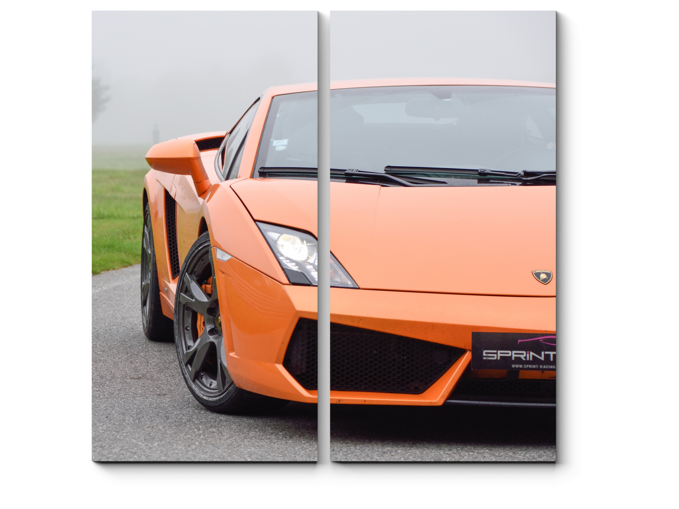 

Модульная картина Picsis, Lamborghini Gallardo (20x30)