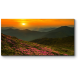 Модульная картина Волшебные розовые цветы в горах