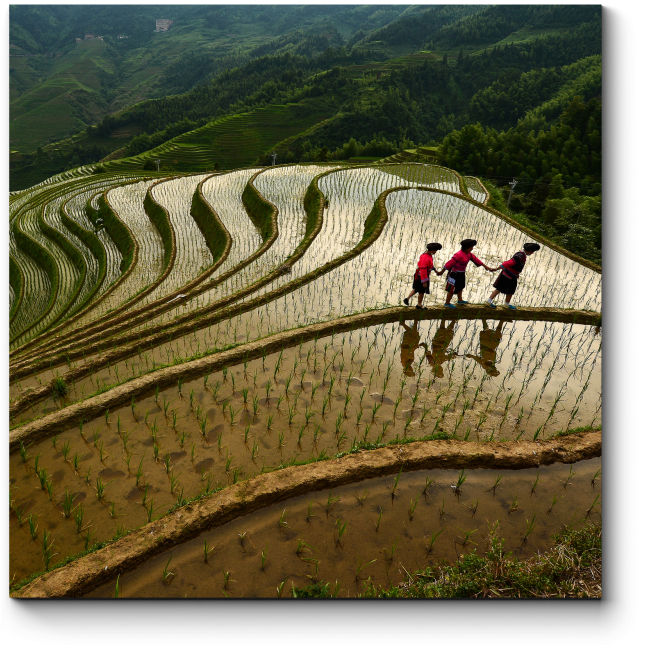 Модульная картина Рисовая терраса в Гуйлинь, Китай