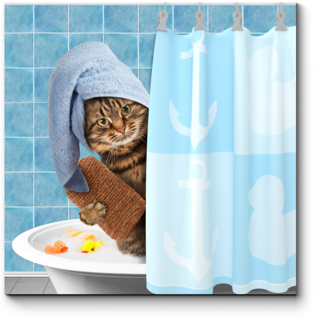 Шторка для ванны купить спб. Штора в ванную. Прикольные шторки для ванной. Шторка для ванны с котом. Занавески для ванной с котами.