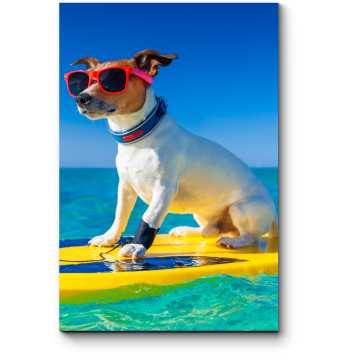 Модульная картина Собака - серфингист в модных очках
