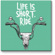 Life is short. Ride
