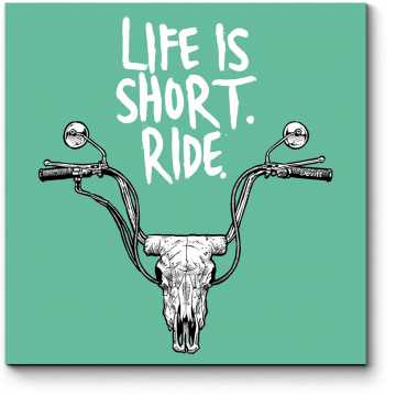 Модульная картина Life is short. Ride