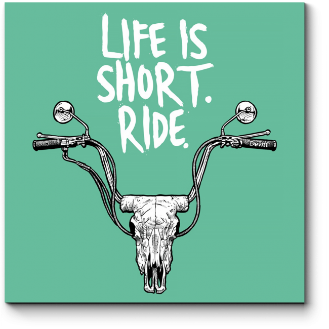 Модульная картина Life is short. Ride