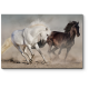 Модульная картина Красивая пара лошадей