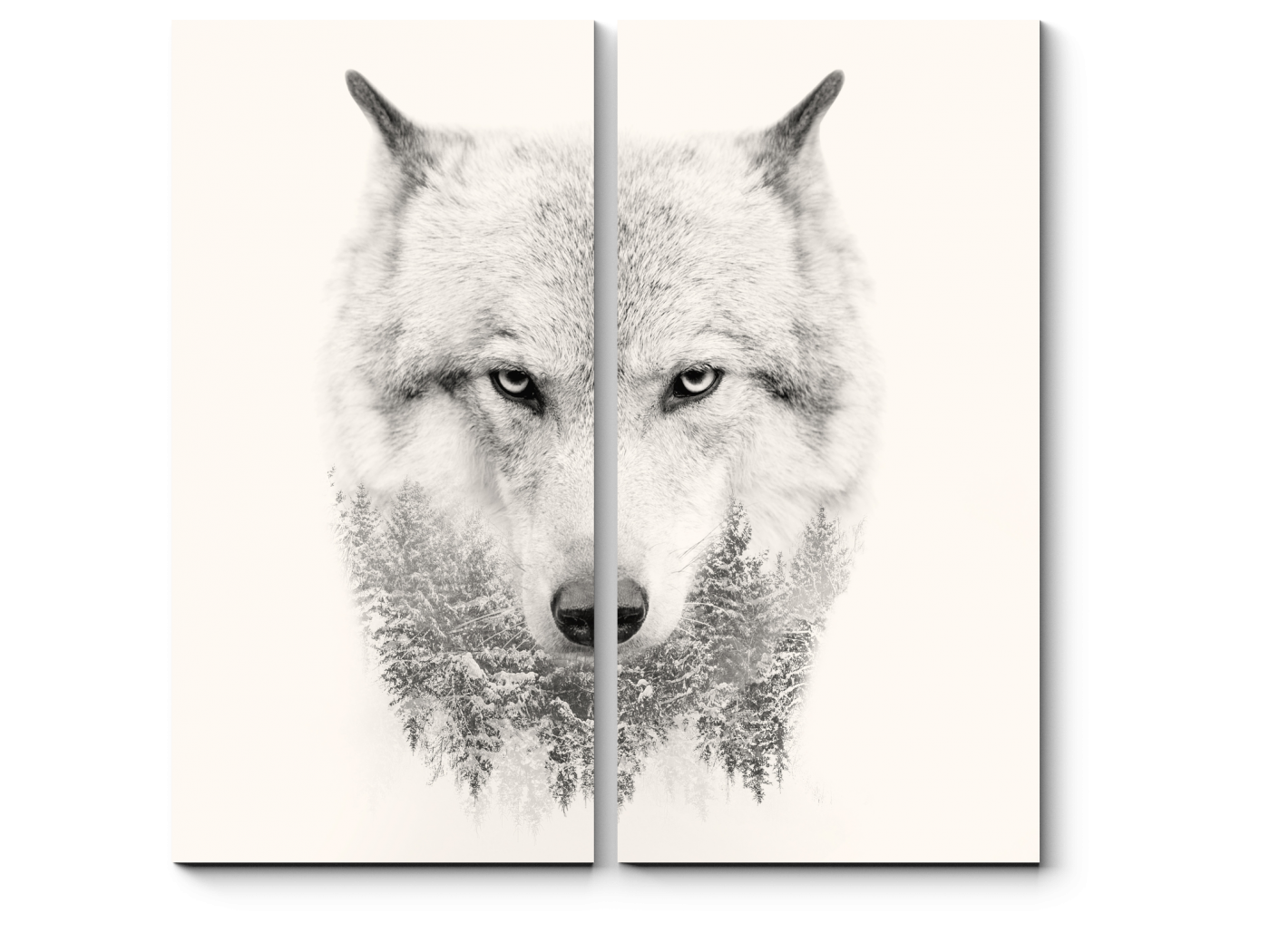 Постер с волком. Постер волки. Постер "волк" 30 x 40 см.