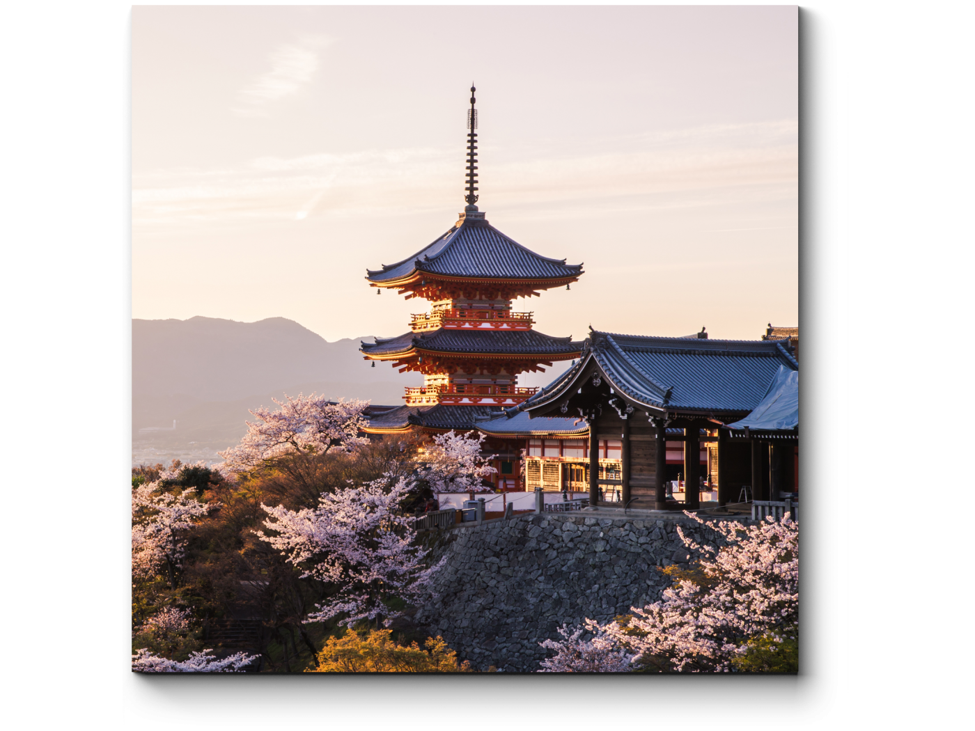 Киото храм Сакура. Kioto Japan. Kyoto город в Японии. Киото Япония фото.