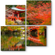 Гармония линий и цвета, Киото