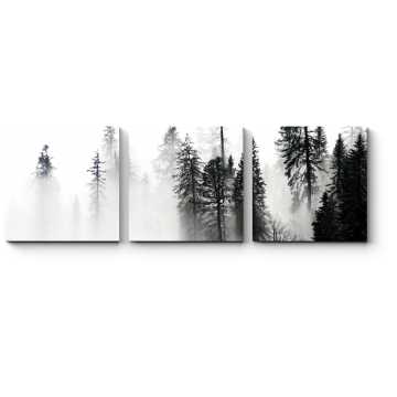 Модульная картина Лес в утреннем тумане