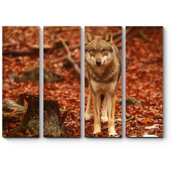 Модульная картина Волк в осеннем лесу