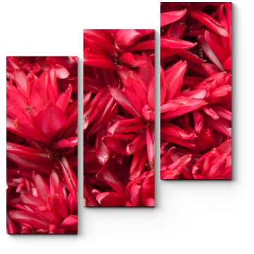 Модульная картина Красные тропические цветы