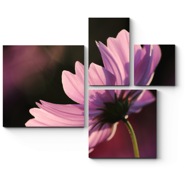 Модульная картина Солнечный цветок