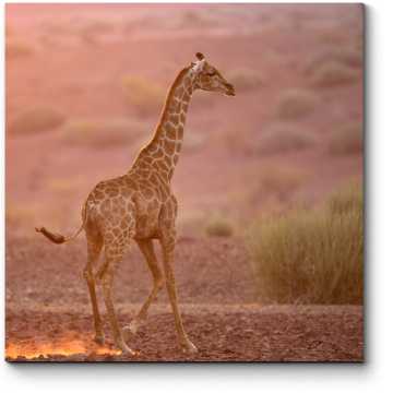 Модульная картина Одинокий жираф