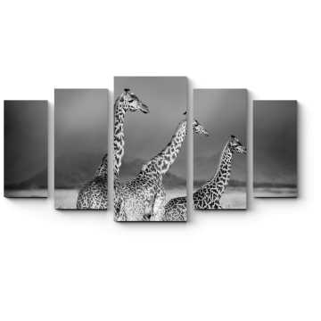 Модульная картина Три жирафа