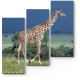 Модульная картина Жираф на прогулке
