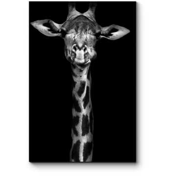 Модульная картина Монохромный жираф
