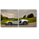 Модульная картина Silver Lamborghini Aventador