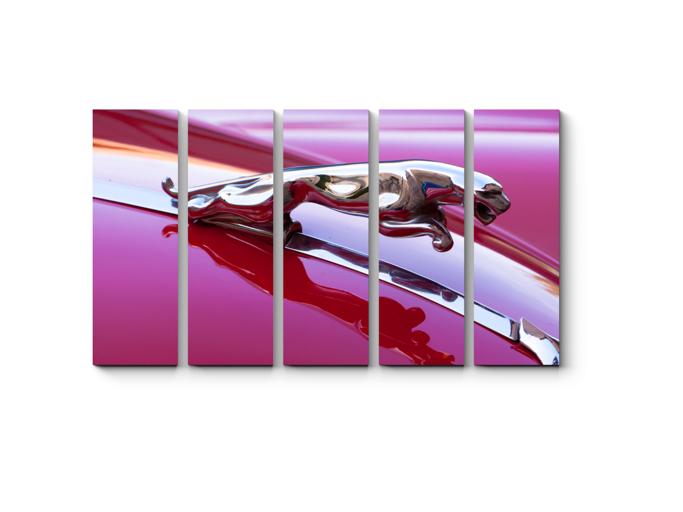 

Модульная картина Picsis, Деталь Ягуара XK140 (20x20)