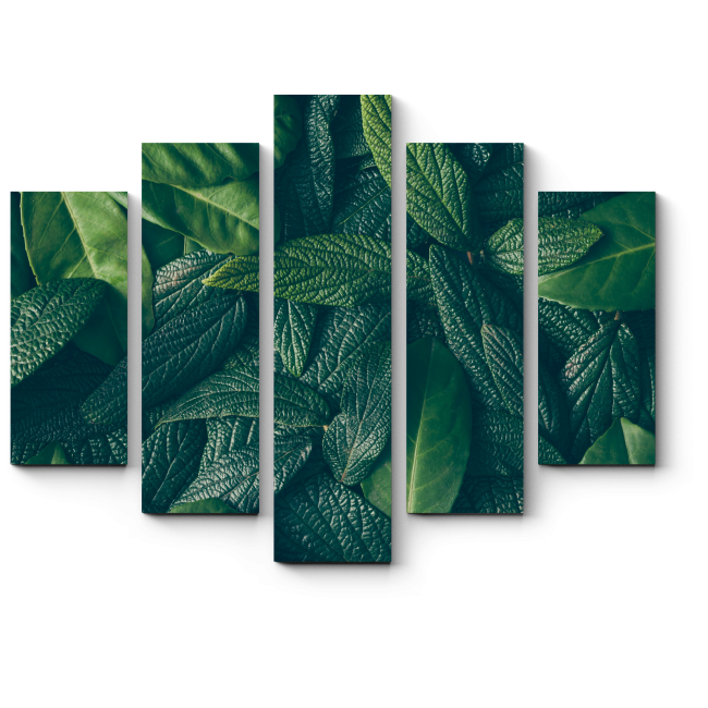Модульная картина Зеленые сочные листья