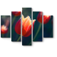 Модульная картина Красивый тюльпан