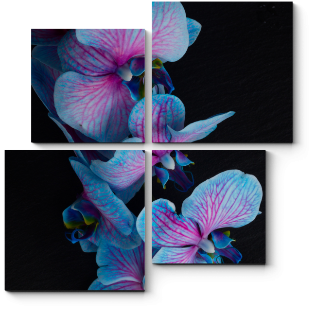Модульная картина Голубая орхидея