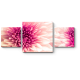 Модульная картина Розовая хризантема