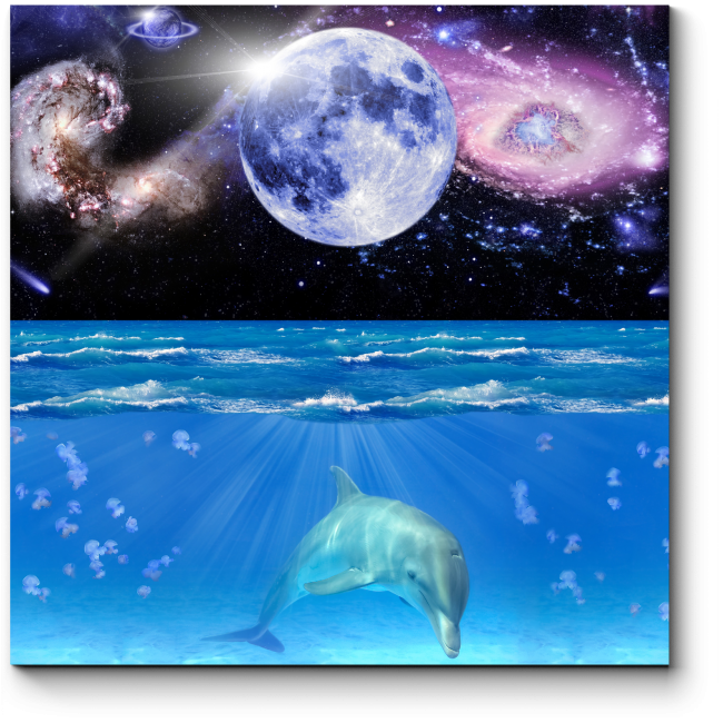 Модульная картина Сладкий сон дельфина