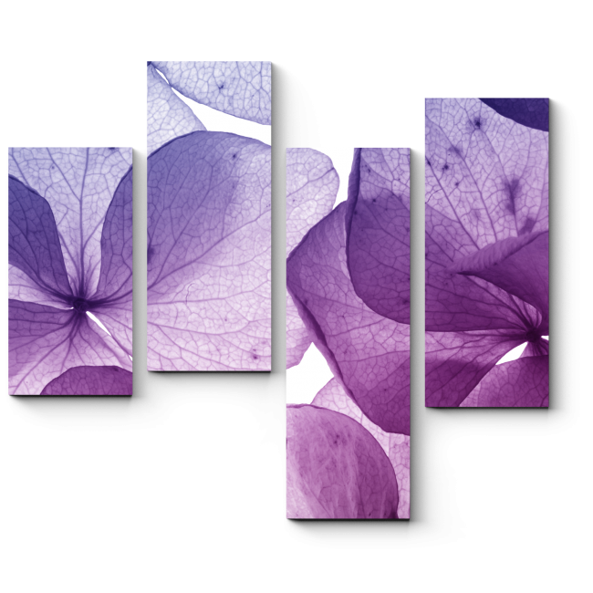 Модульная картина Тончайшие лепестки пурпура