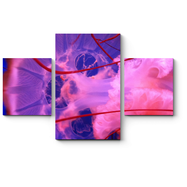 Модульная картина Розовая медуза