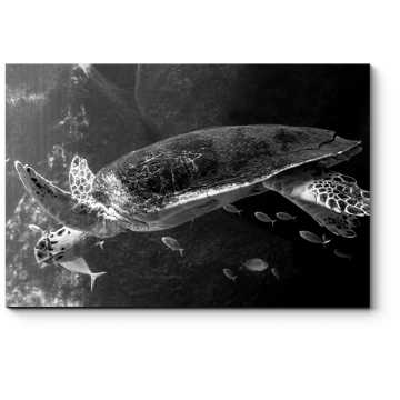 Модульная картина Морская черепаха