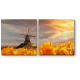 Ветряная мельница и желтые тюльпаны на закате 