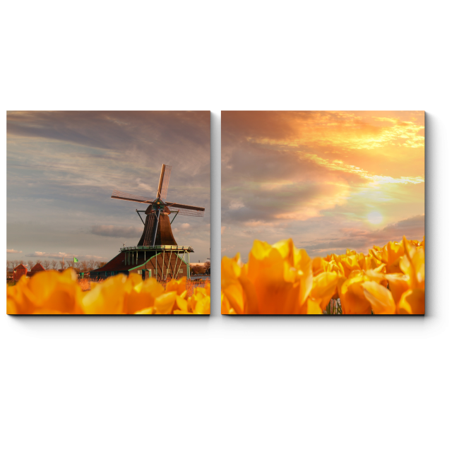 Модульная картина Ветряная мельница и желтые тюльпаны на закате 