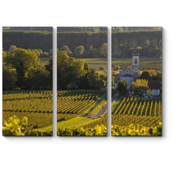 Модульная картина Пейзаж с виноградниками