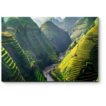 Модульная картина Вьетнамские рисовые поля в горах 