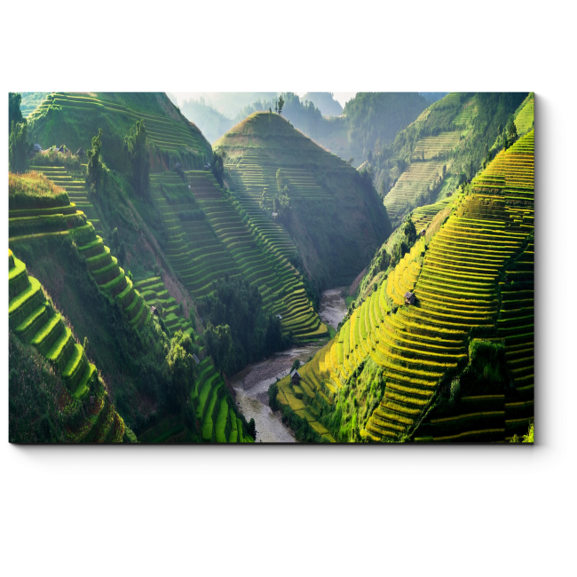 Модульная картина Вьетнамские рисовые поля в горах 