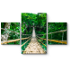 Бамбуковый пешеходный подвесной мост через реку в тропическом лесу